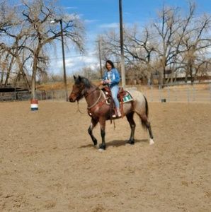 Meet your Posher, Lilly